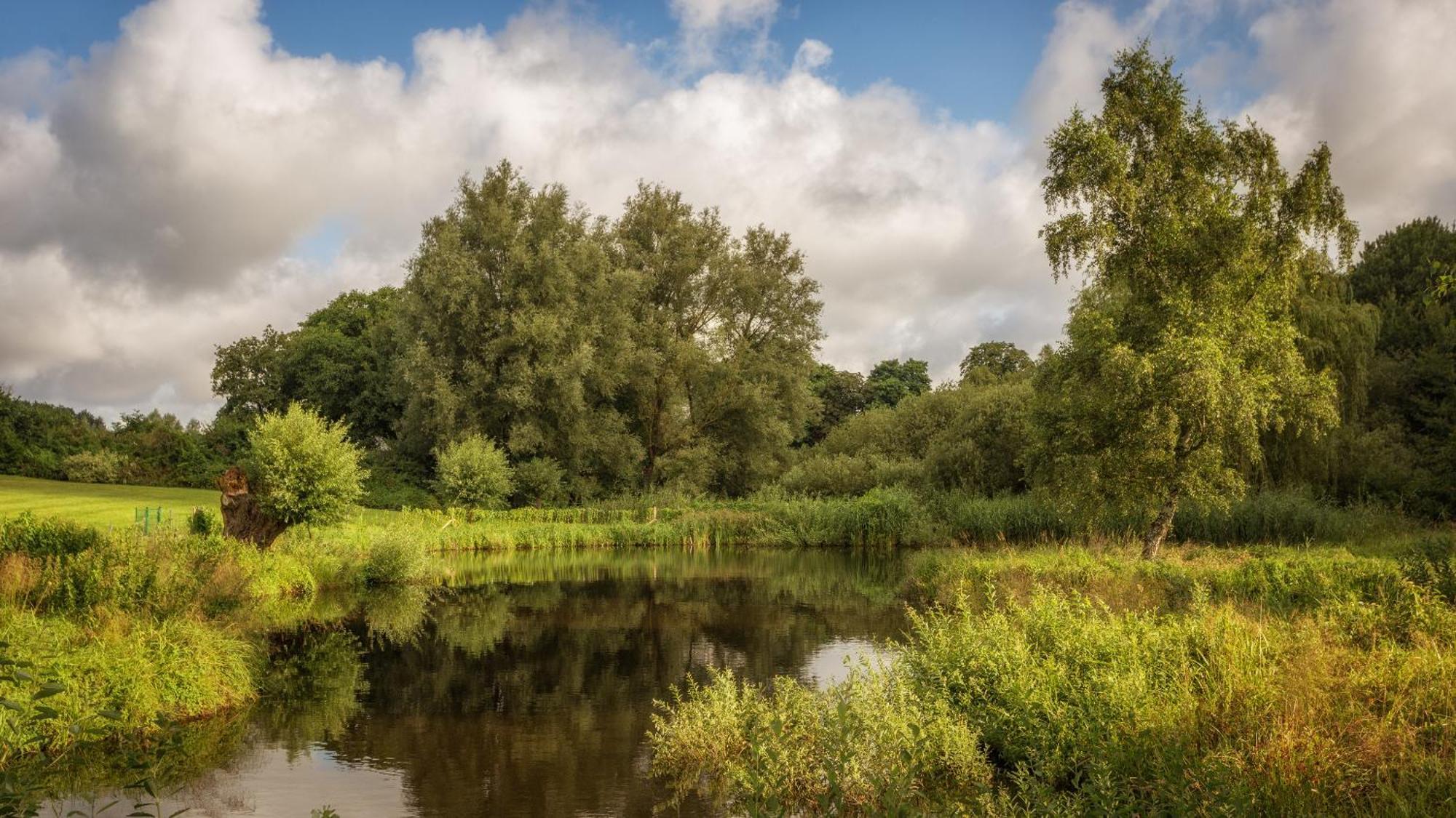 J1 Idyllisches Ferienhaus Mit Seeblick Julchendorf المظهر الخارجي الصورة